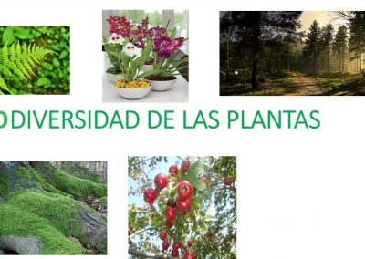 Biodiversidad de las plantas