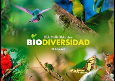 1.- Dia Mundial de la Biodiversidad. 22 de mayo