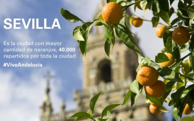 Naranjos en las calles de Sevilla