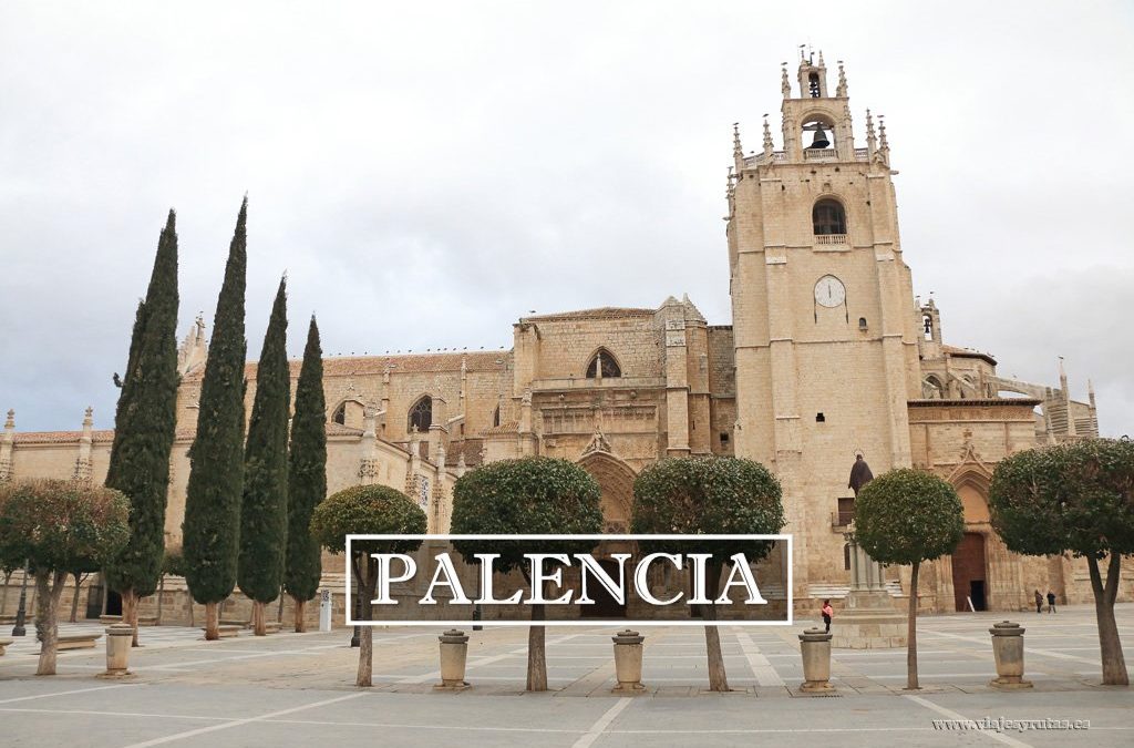 Palencia y provincia en imágenes