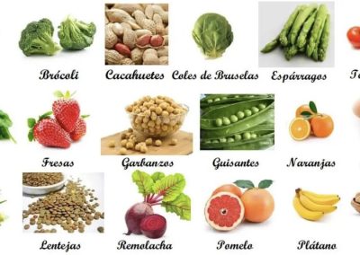 7.-Vegetales, hortalizas, legumbres y frutas